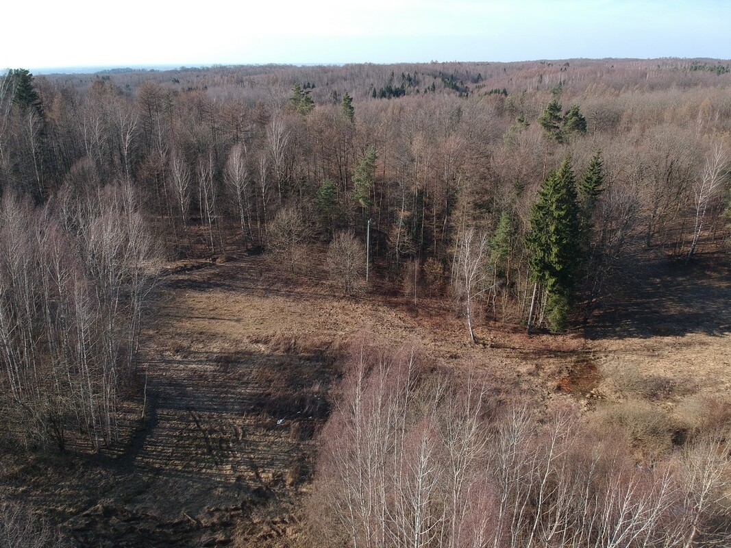 Elbląg SZULC & SZULC BIURO NIERUCHOMOŚCI NA SPRZEDAŻDziałka budowlana - Elbląg ul. JaworowaPowierzchnia: 5075 m2