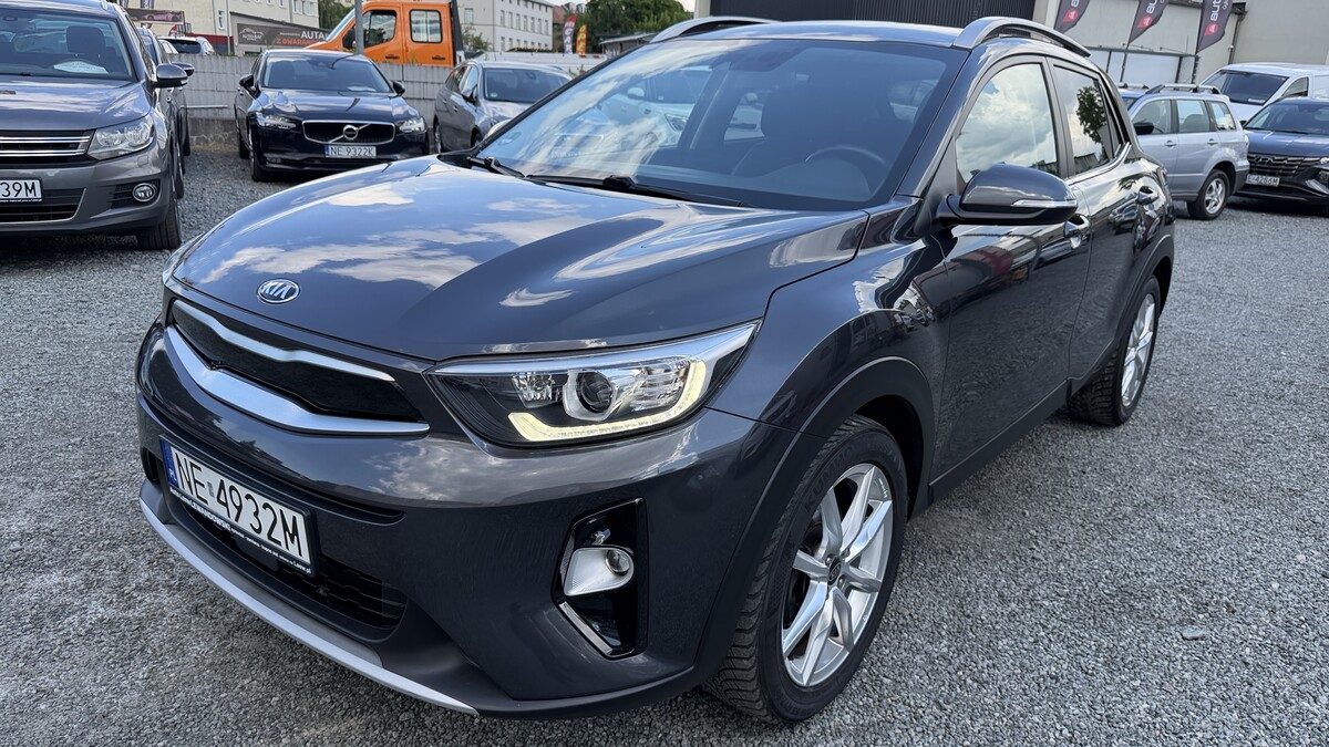 Elbląg Auto Leew LEWANDOWSKI