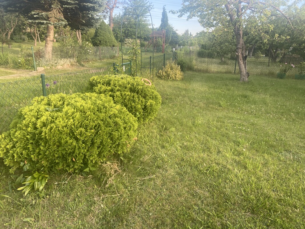 Elbląg NOWA NIŻSZA CENA
Sprzedam działkę w ROD im. ”Podchorążych”