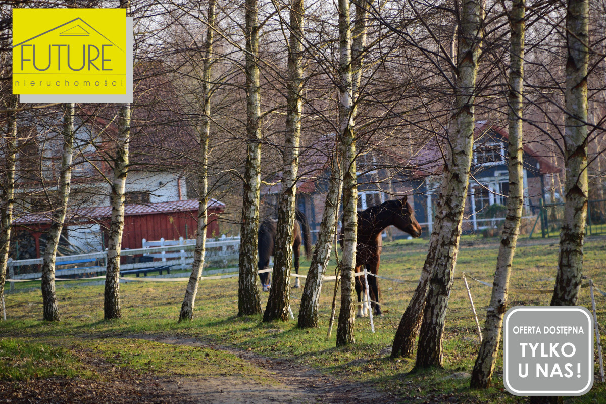 Elbląg FUTURE NIERUCHOMOŚCISprzedam działkę - PrzemysławDZIAŁKA POD ZABUDOWĘ ZAGRODOWĄ ORAZ POD AGROTURYSTYKĘ!
