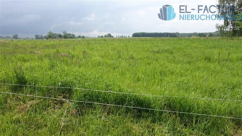 Elbląg Działka 2030 m² pod zabudowę jednorodzinną – Pomorska WieśEL-FACTOR Nieruchomości | atrakcyjna