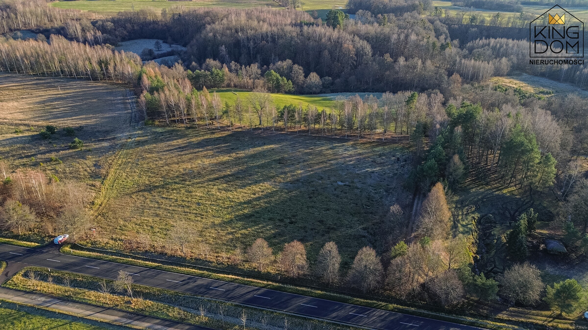 Elbląg KINGDOM NIERUCHOMOŚCI BLISKO CIEBIEDZIAŁKA Z POTENCJAŁEM - 3000 m2 BĄDŹ 11.601 m2Z WYDANYMI WARUNKAMI ZABUDOWYW