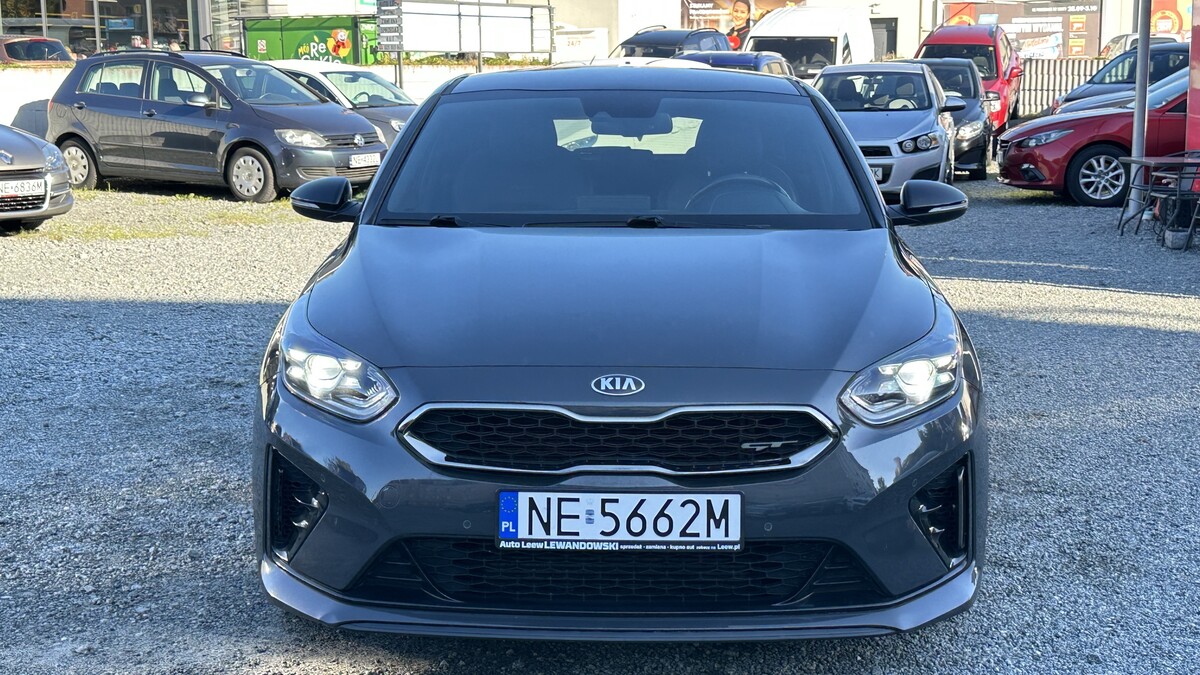 Elbląg Auto Leew LEWANDOWSKI Kupujemy i Sprzedajemy tylko dobre auta Za auta z Polskiego Salonu Płacimy Najwięcej KIA