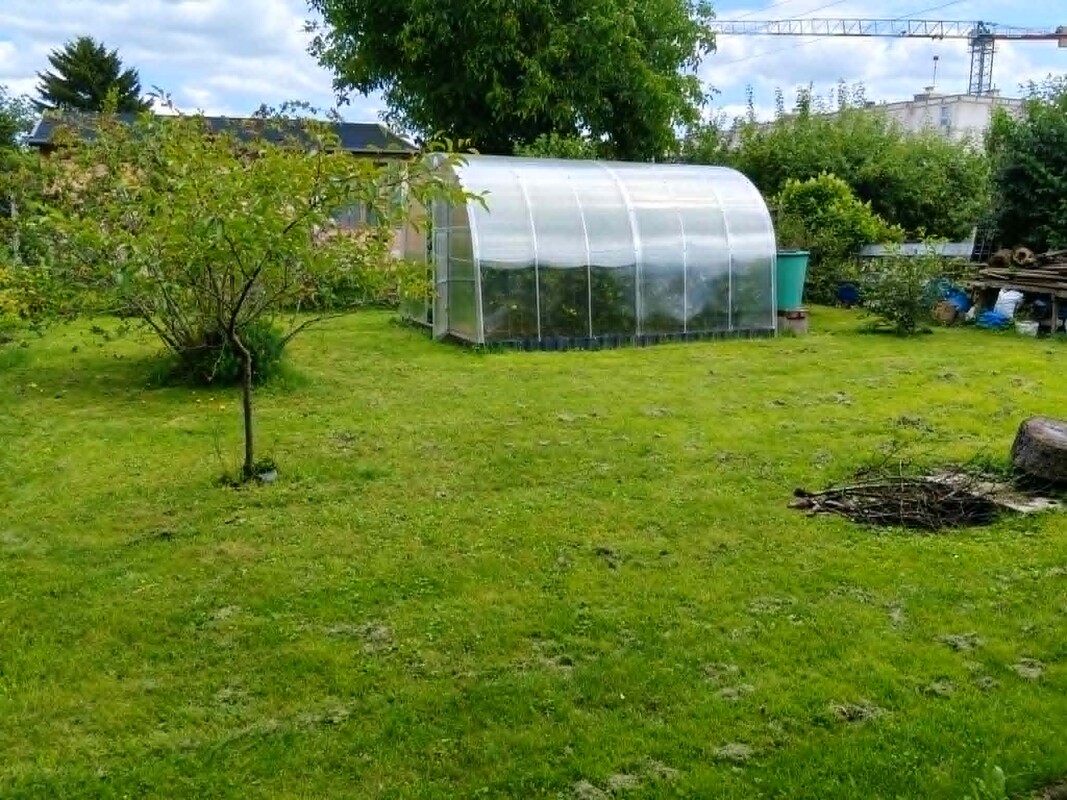 Elbląg Na sprzedaż działka ROD „ Bratek” w Elblągu – 720 m², zadbana, z domkiem i szklarnią