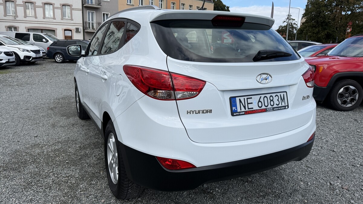 Elbląg Auto Leew LEWANDOWSKI Kupujemy i Sprzedajemy tylko dobre auta Za auta z Polskiego Salonu Płacimy Najwięcej