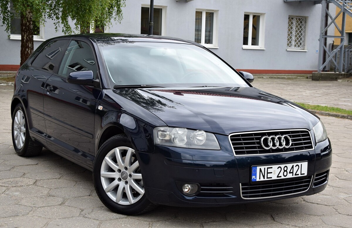Elbląg Audi A3 HatchbeckSilnik 1.6 - 102 KMZadbany / garażowany