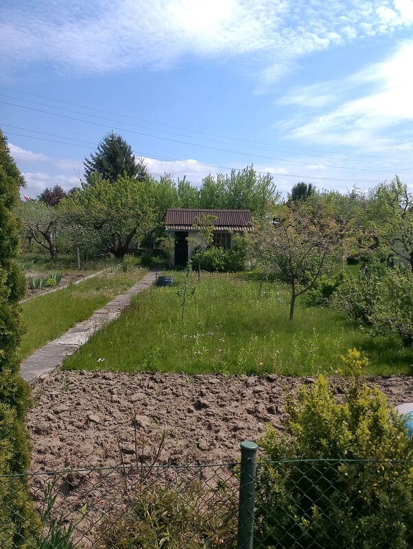 Elbląg Sprzedam działkę ogrodniczą na Bielanach, POD Bratek
