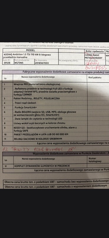 Elbląg Sprzedam Skodę Kodiaq, 7 - osobowa, z 2019r. , wyposażenie wyszczególnione na zdjęciu, I właściciel,