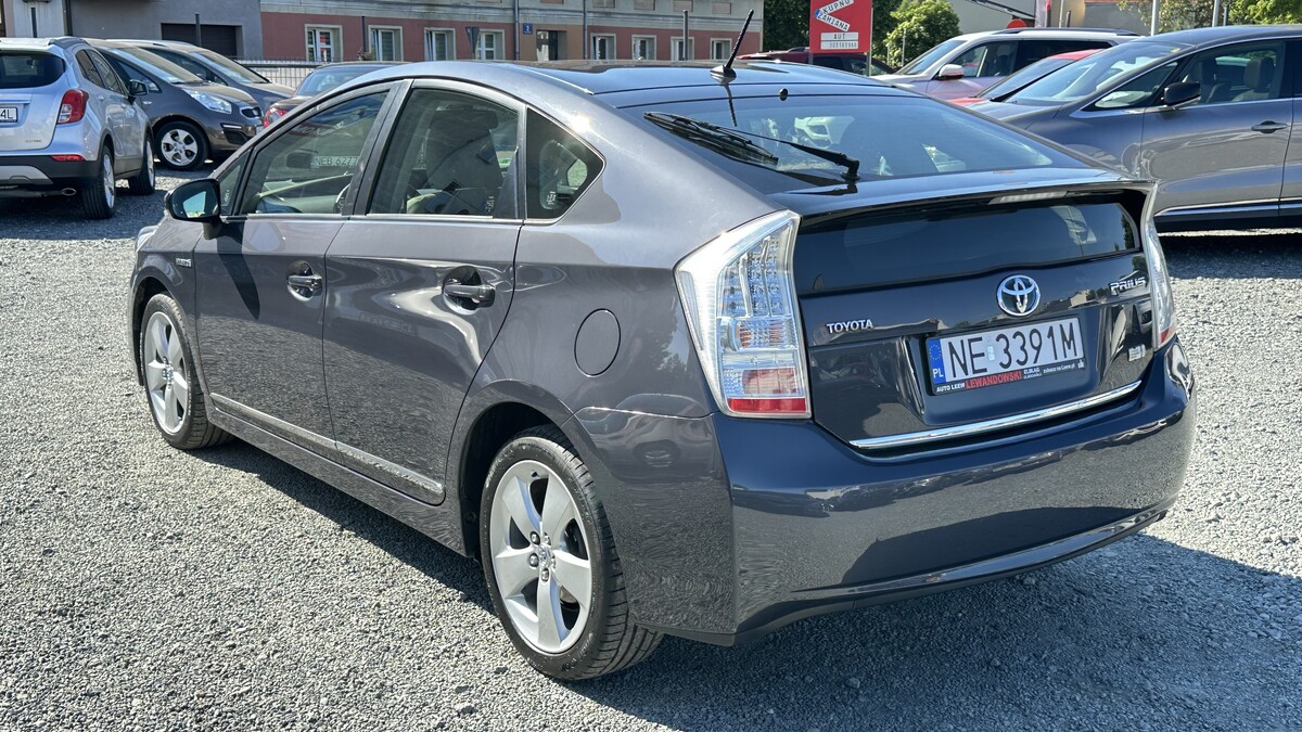 Elbląg Auto Leew LEWANDOWSKI