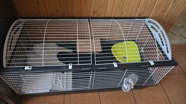 Elbląg Sprzedam klatkę ferplast casita 120cm dla królika lub świnki morskiej. 
W zestawie; 
-Klatka 
-Pięterko ze