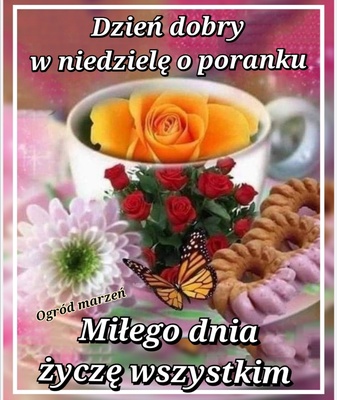 Elbląg Witam serdecznie poznam kobietę na spacer lub rowery osiedle Bielany może jelenia dolina Zapraszam. Reszta w