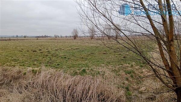 Elbląg EL-FACTOR NieruchomościSprzedam działkę - Dłużyna, brak. Działki budowlane w Dłużynie pod Elblągiem – Twój