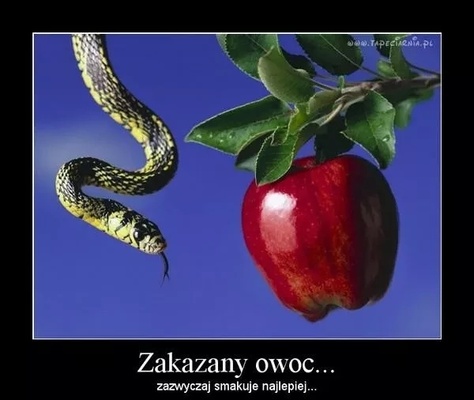 Elbląg Młody dla dojrzałej kobiety