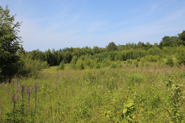 Elbląg NIERUCHOMOŚCI ANNA KRASZEWSKA&nbsp; Działki w miejscowości Suchacz, gm. Tolkmicko&nbsp; &nbsp; W&nbsp; pobliżu