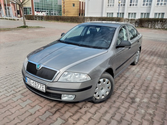 Elbląg Skoda Octavia II bezwypadkowy, zadbany, z polskiego salonu