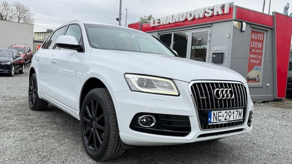 Elbląg Auto Leew LEWANDOWSKI Kupujemy i Sprzedajemy tylko dobre auta Za auta z Polskiego Salonu Płacimy Najwięcej AUDI