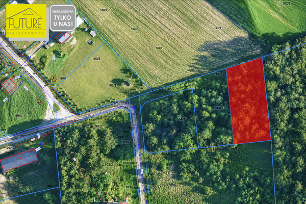 Elbląg FUTURE NIERUCHOMOŚCISprzedam działkę - Wycinki. PIĘKNIE POŁOŻONA DZIAŁKA W SERCU BORÓW TUCHOLSKICHTUŻ OBOK LASU