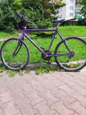 Elbląg Sprzedam rower górski na dojazdy do sklepu do pracy. Sprawny jeździ hamuje, wstawiłem nowe klocki hamulcowe.