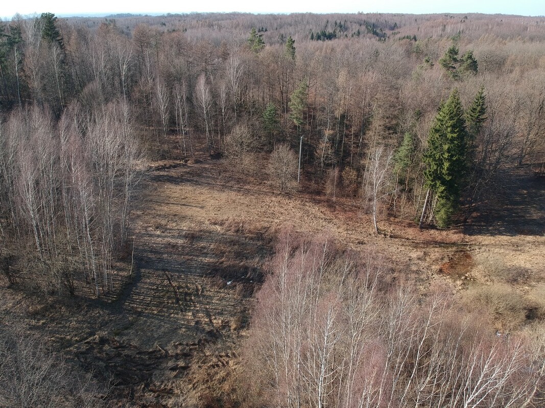 Elbląg SZULC & SZULC BIURO NIERUCHOMOŚCI NA SPRZEDAŻDziałka budowlana - Elbląg ul. JaworowaPowierzchnia: 5075 m2