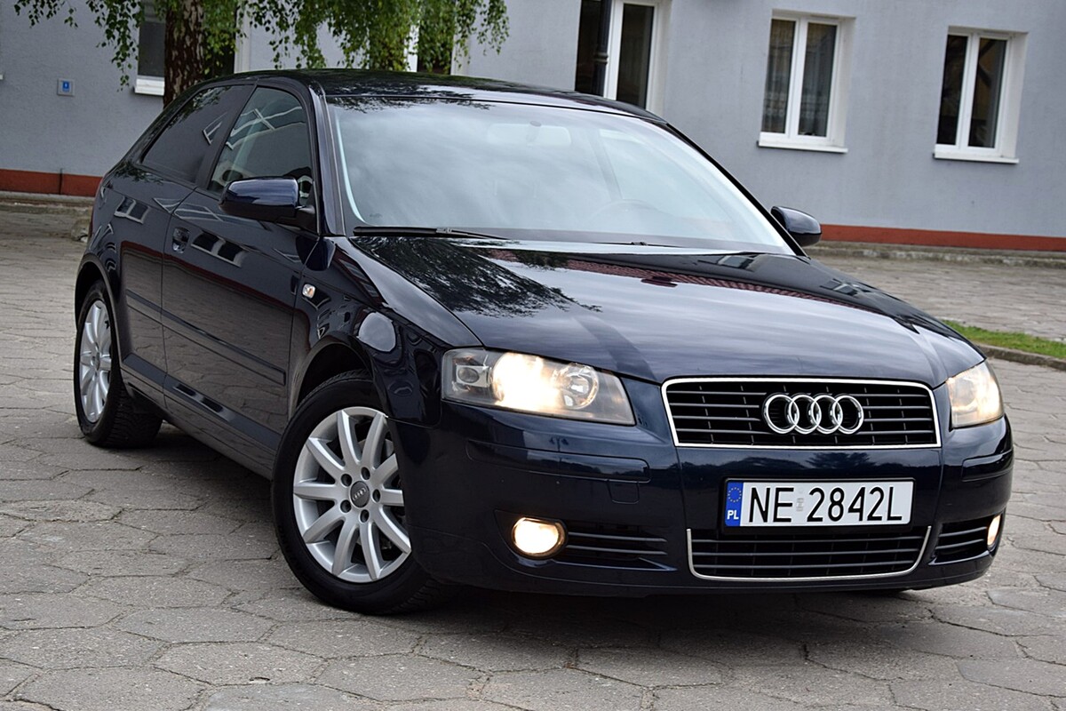 Elbląg Audi A3 HatchbeckSilnik 1.6 - 102 KMZadbany / garażowany