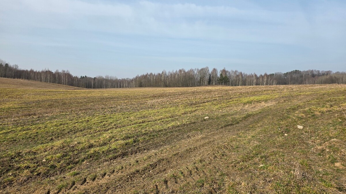 Elbląg SZULC & SZULC BIURO NIERUCHOMOŚCI NA SPRZEDAŻDziałka budowlana - Stare Monasterzysko /gmina