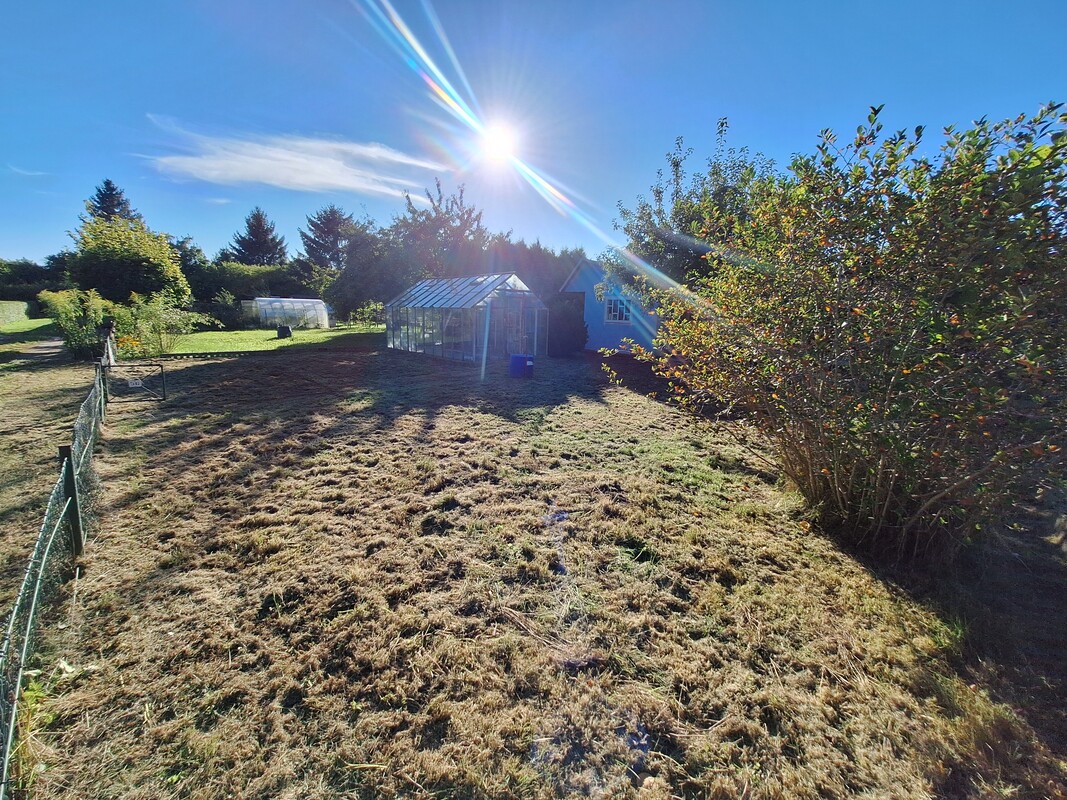 Elbląg 🌿 Na sprzedaż urokliwa działka ROD REKREACJA w Elblągu – Twoje miejsce na odpoczynek! 🌞