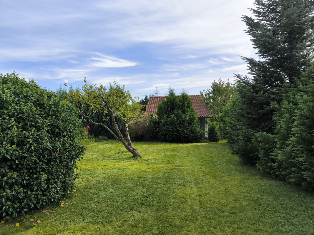 Elbląg Sprzedam zadbaną działkę ogrodniczą w ROD BRATEK 500 m2 (prąd + woda)