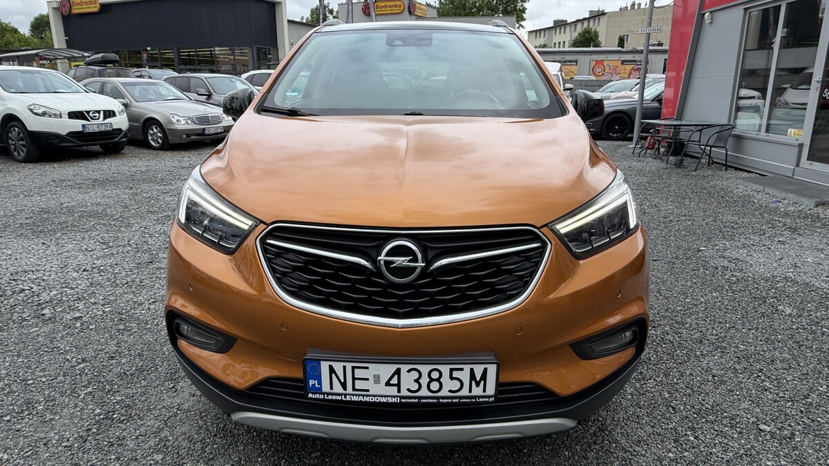Elbląg Auto Leew LEWANDOWSKI