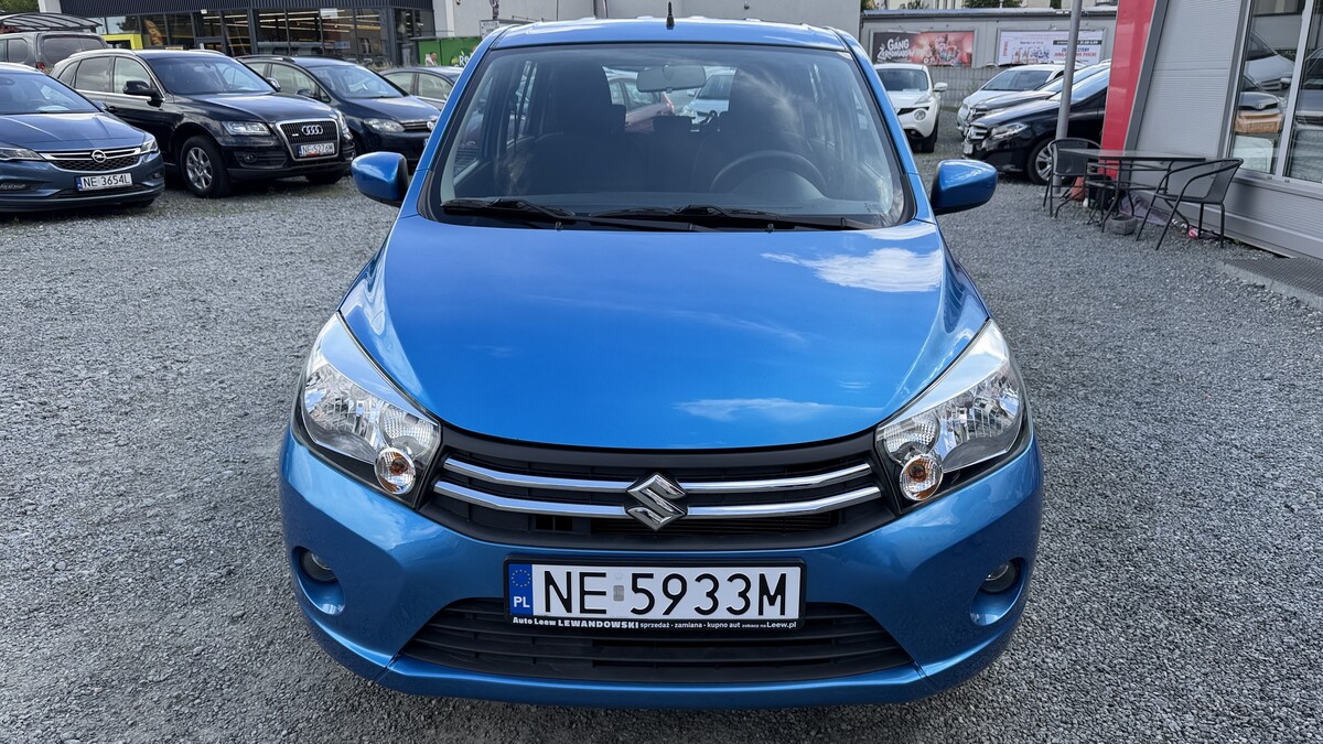 Elbląg Auto Leew LEWANDOWSKI Kupujemy i Sprzedajemy tylko dobre auta Za auta z Polskiego Salonu Płacimy Najwięcej
