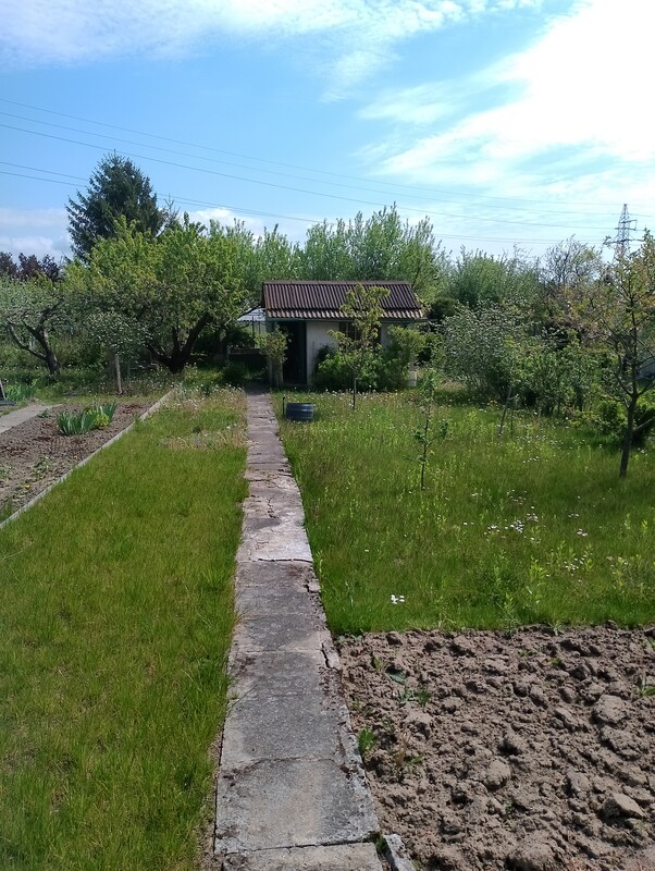 Elbląg Sprzedam działkę ogrodniczą na Bielanach, POD Bratek