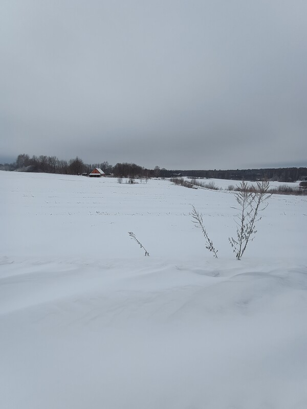 Elbląg Sprzedam 20 hektarów gruntów rolnych położonych we wsi Ząbrowiec gmina Godkowo powiat elbląski. Większość