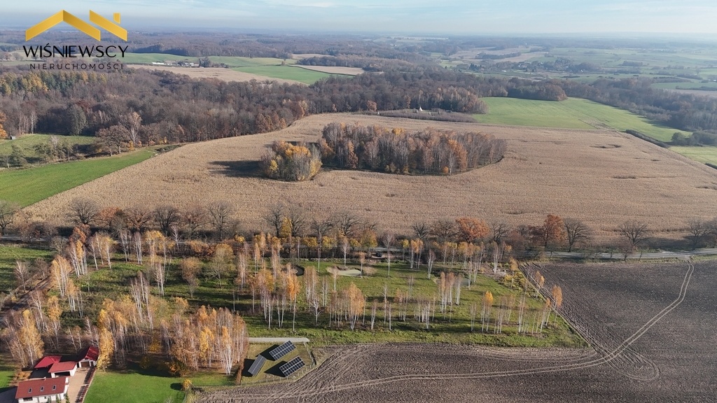 Elbląg WIŚNIEWSCY NIERUCHOMOŚCI Sp. z o.o.Sprzedam działkę - Dawidy. Oferta sprzedaży działki rolnej z wydaną