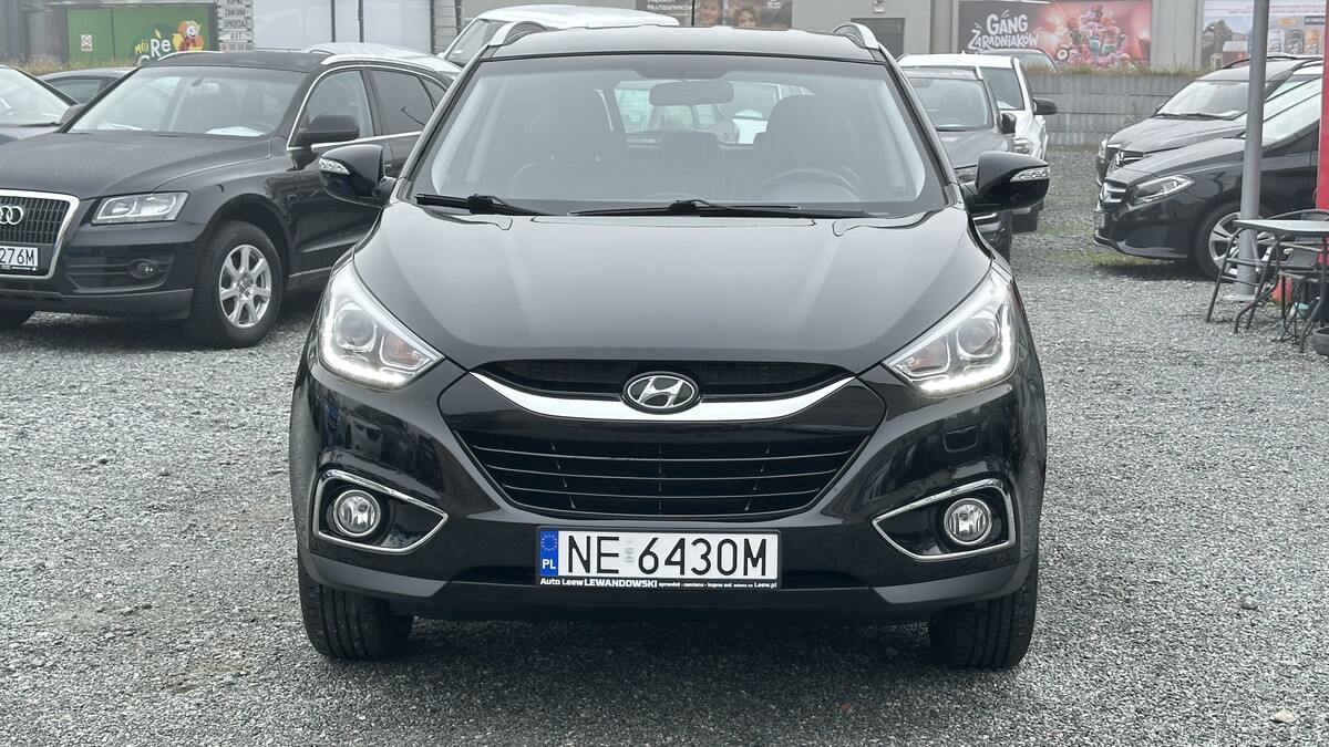 Elbląg Auto Leew LEWANDOWSKI Kupujemy i Sprzedajemy tylko dobre auta Za auta z Polskiego Salonu Płacimy Najwięcej