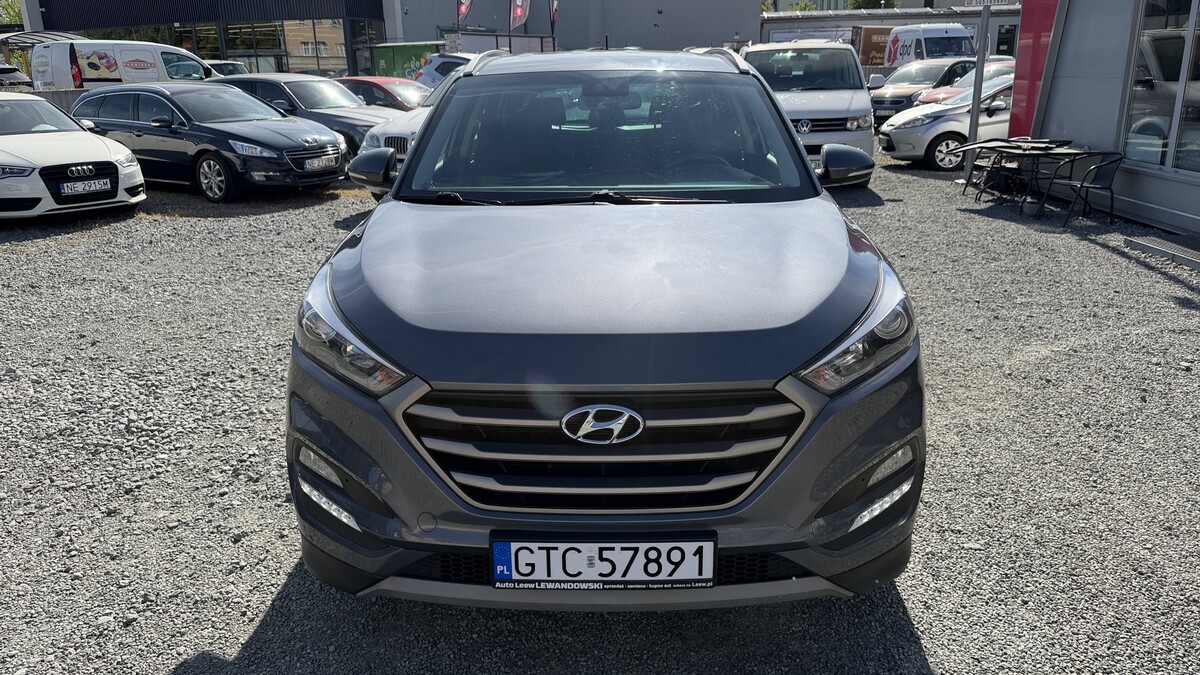 Elbląg Auto Leew LEWANDOWSKI