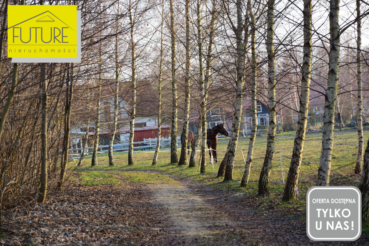 Elbląg FUTURE NIERUCHOMOŚCISprzedam działkę - PrzemysławDZIAŁKA POD ZABUDOWĘ ZAGRODOWĄ ORAZ POD AGROTURYSTYKĘ!