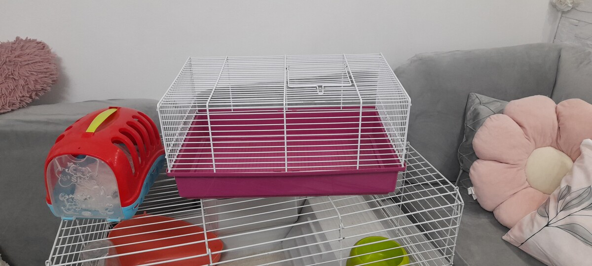 Elbląg Witam. Do sprzedania klatka dla chomika, świnki ewentualnie królika miniaturki. Klatka w bardzo dobrym stanie z