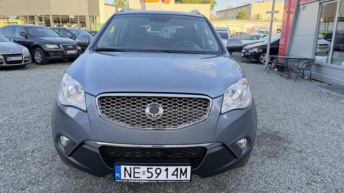 Elbląg Auto Leew LEWANDOWSKI Kupujemy i Sprzedajemy tylko dobre auta Za auta z Polskiego Salonu Płacimy Najwięcej