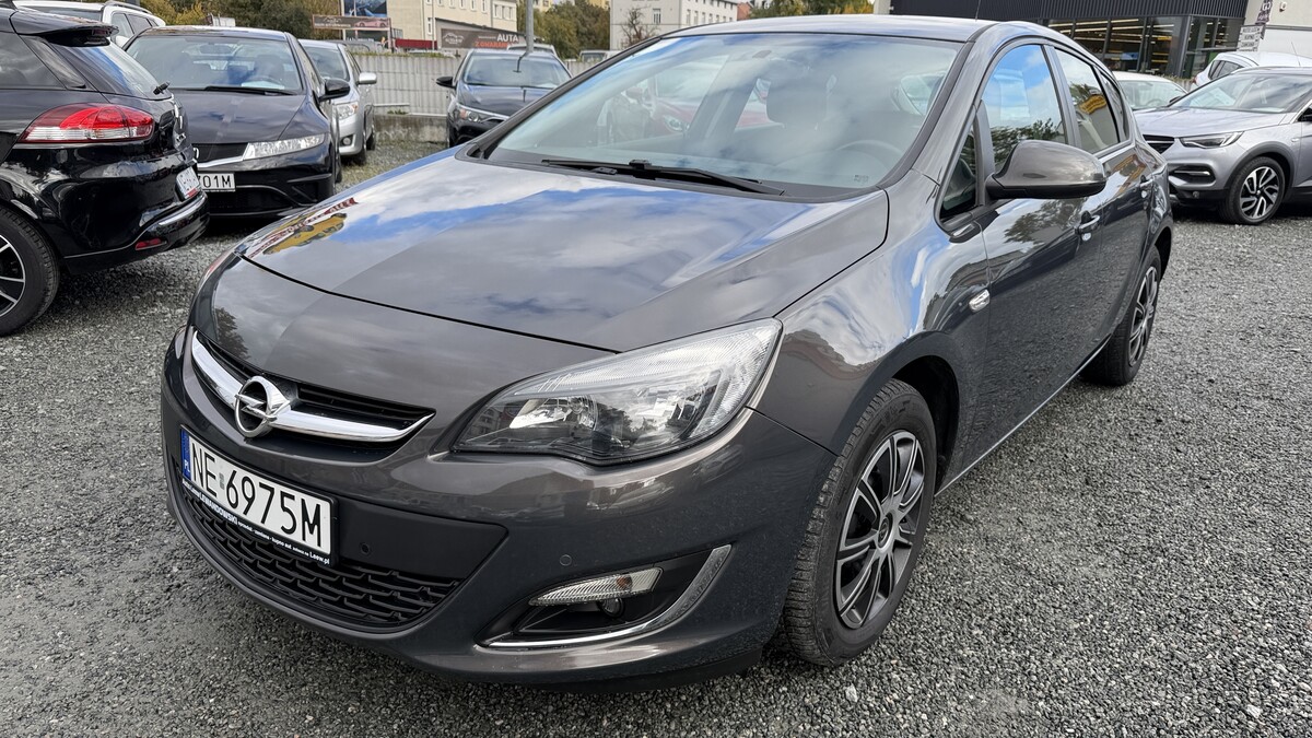 Elbląg Auto Leew LEWANDOWSKI Kupujemy i Sprzedajemy tylko dobre auta Za auta z Polskiego Salonu Płacimy Najwięcej OPEL