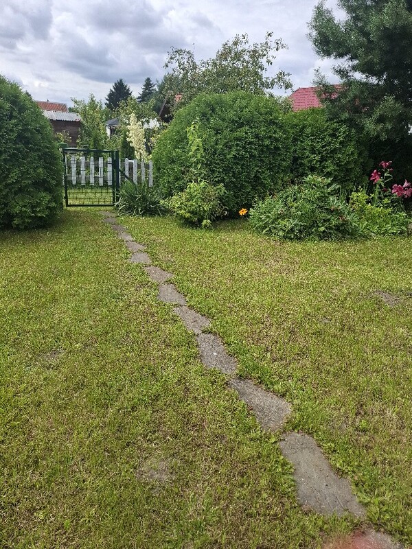 Elbląg Działka ROD PROMYK – Elbląg, ul. Akacjowa – 400 m² 🌿
💰 Cena: 25 000 zł
📞 Kontakt: 509 930 439
Na sprzedaż