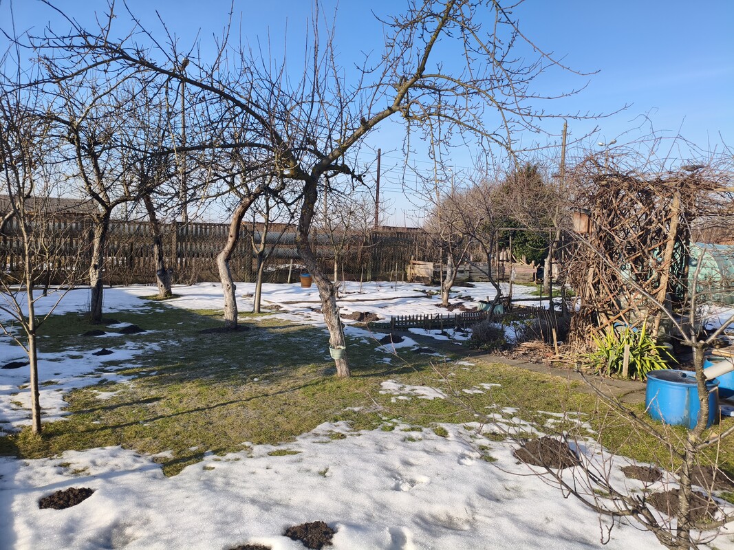 Elbląg 🌿 Twój zielony azyl w mieście! Wyjątkowa działka ROD przy ul. Druskiej na sprzedaż! 🏡