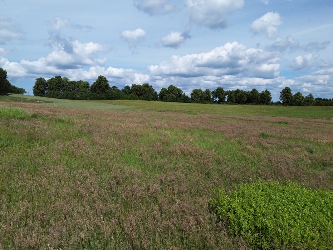 Elbląg NIERUCHOMOŚCI ANNA KRASZEWSKA  Działka budowlana o pow.9645 m2  na nowopowstającym osiedlu domów
