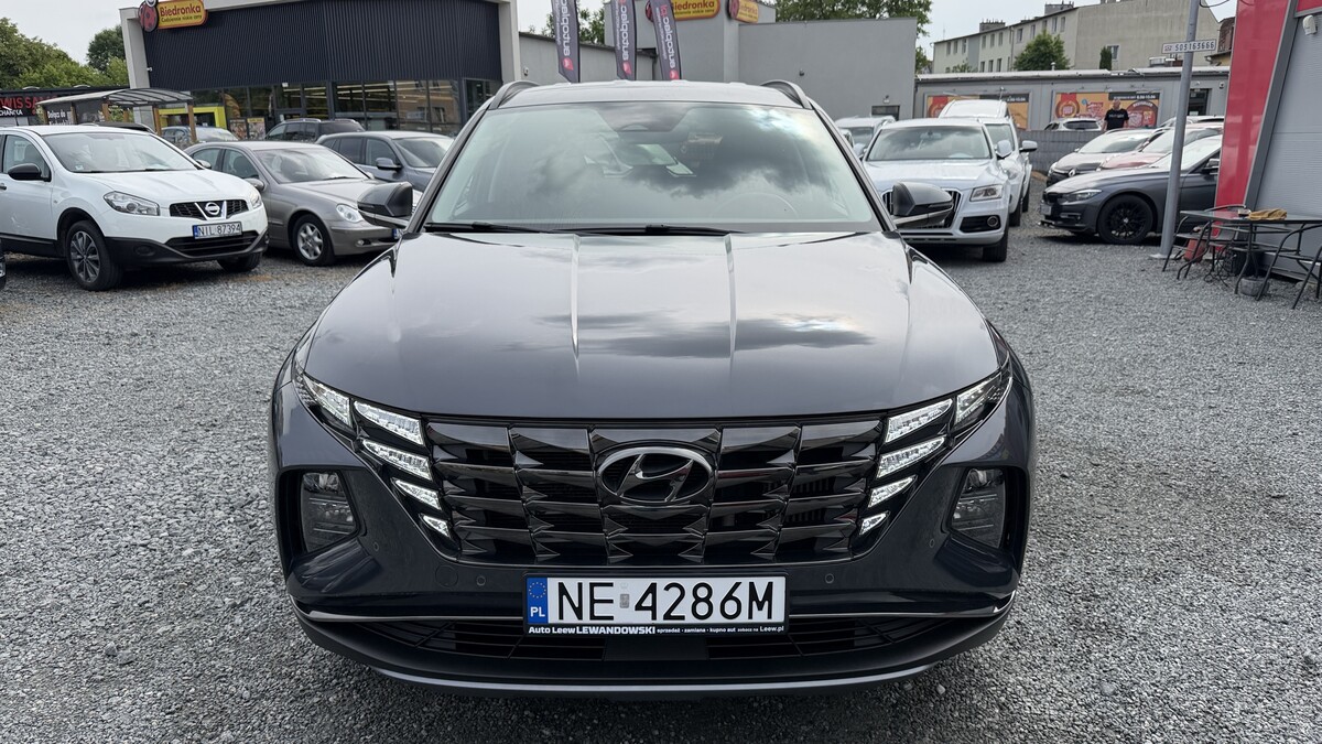 Elbląg Auto Leew LEWANDOWSKI Kupujemy i Sprzedajemy tylko dobre auta Za auta z Polskiego Salonu Płacimy Najwięcej