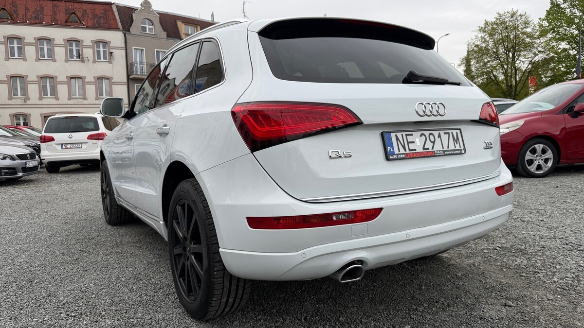 Elbląg Auto Leew LEWANDOWSKI Kupujemy i Sprzedajemy tylko dobre auta Za auta z Polskiego Salonu Płacimy Najwięcej AUDI