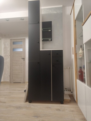 Elbląg Szafka łazienkowa nie dzielona, na wspólnej podstawie, wysokość regulowana od 2,16-2,19 m, szer. 0,72m, gł.
