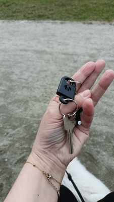 Elbląg Znaleziono klucz do mieszkania z brelokiem w parku zabaw na Mickiewicza. .. Elbląg