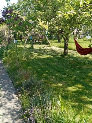 Elbląg Sprzedam działkę ROD, pow. 301m-ul. Dabrowskiego. 
Działka typowo rekreacyjna, drzewa owocowe(jabłonki,