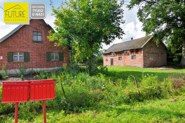 Elbląg FUTURE NIERUCHOMOŚCISprzedam dom - Solnica. SIEDLISKO NA ŻUŁAWACH WIŚLANYCH WOLNOSTOJĄCY DOM POWIERZCHNIA