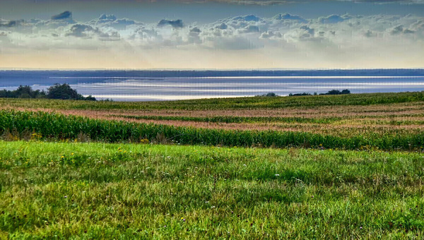 Elbląg * * * ABC NIERUCHOMOŚCI * * * WYJĄTKOWA DZIAŁKA INWESTYCYJNA Z WIDOKIEM NA ZALEW WIŚLANY powierzchnia