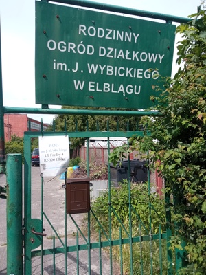 Elbląg Sprzedam ogródek działkowy na ul fredry