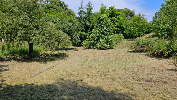 Elbląg Działka ROD Waryńskiego Bażantarnia. 450m